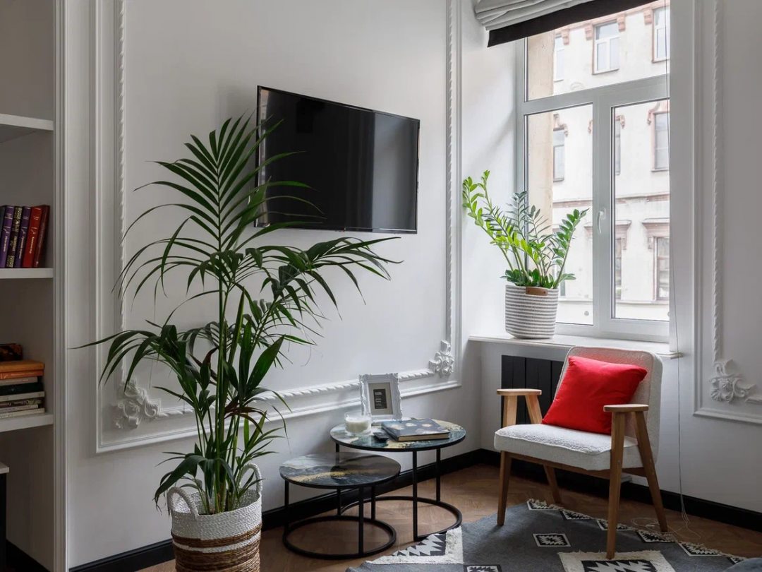 Grain моховая ул 12 фото Снять Апартаменты D Apartments на Моховой, Санкт-Петербург, цены от 9600 руб. с 