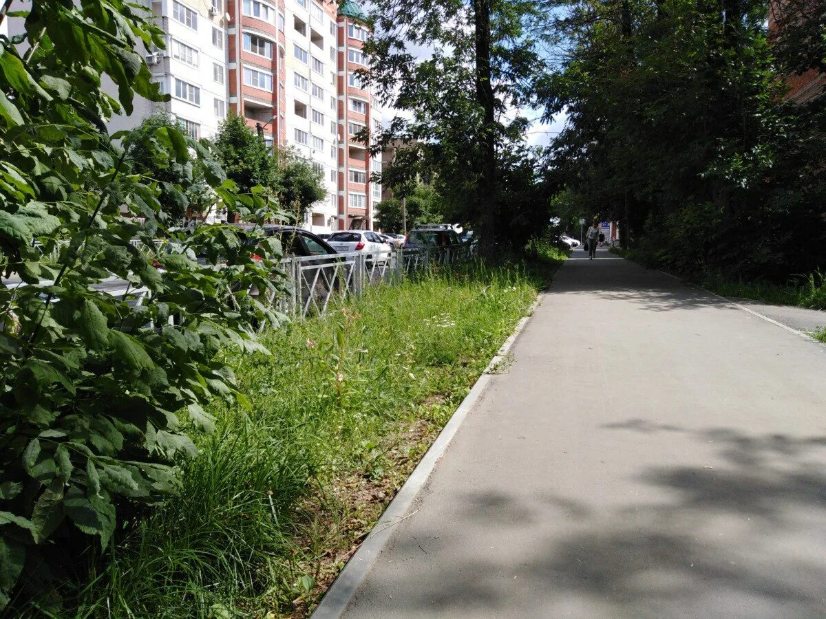 Grass ул нахимова 14 смоленск фото #29934 post - Смоленские Новости (@smolnews_ru)