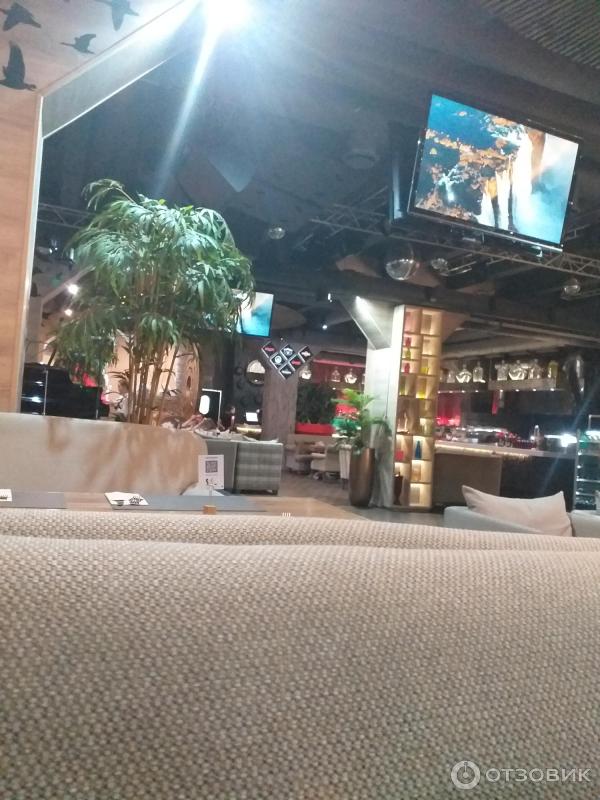 Gray goose просп ленина 52 мурманск фото Отзыв о Кафе "Gray Goose" (Россия, Мурманск) Ресторан арктической кухни