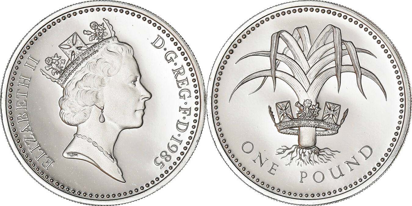 Great britain pound комсомольская ул 15 фото Great Britain Pound 1985 Coin, Elizabeth II, Nickel-brass, KM:941 MS(65-70) MA-S