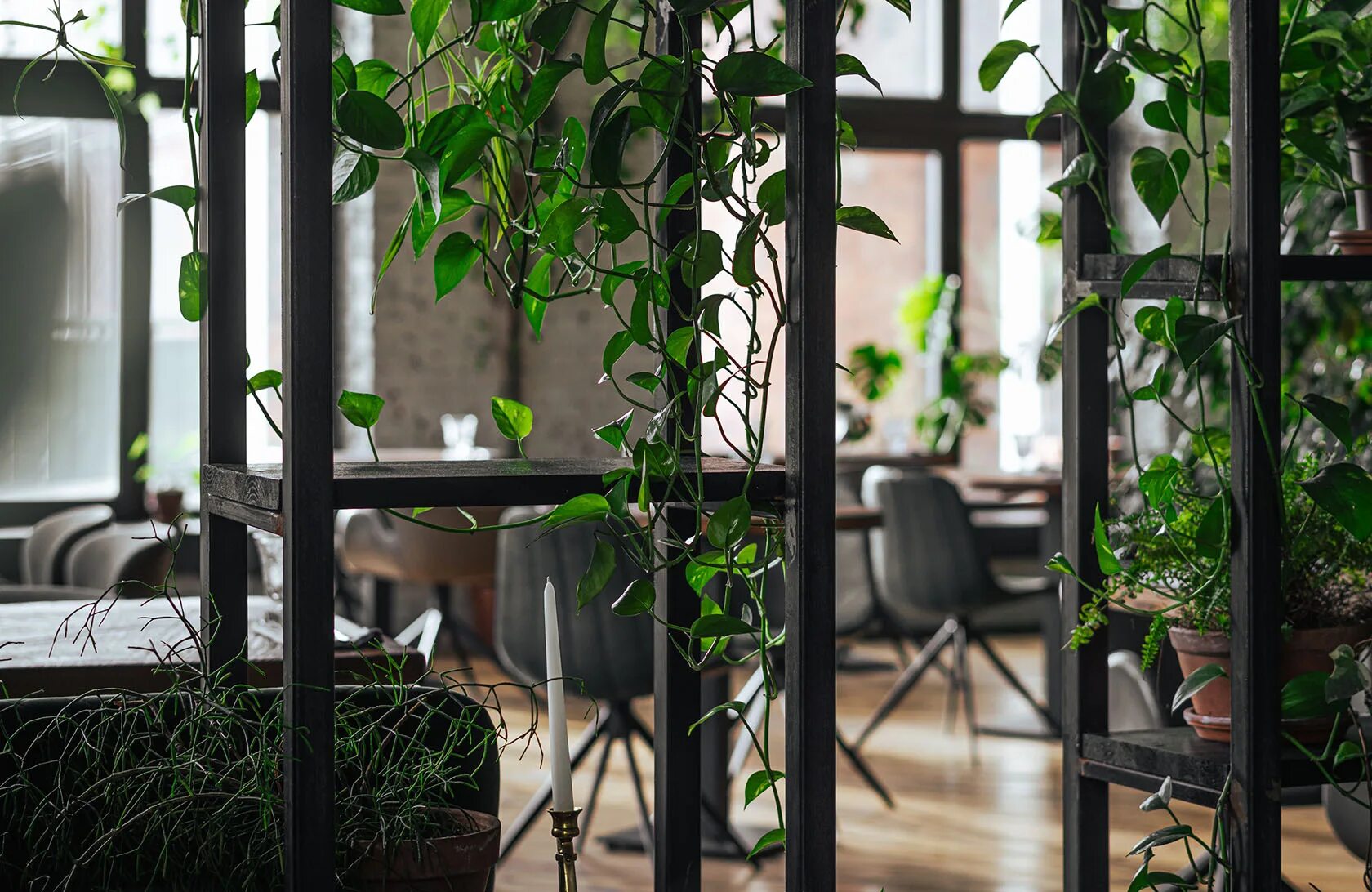 Grebeshki арсенальная наб 1 санкт петербург фото Меню - Grebeshki Арсенальная