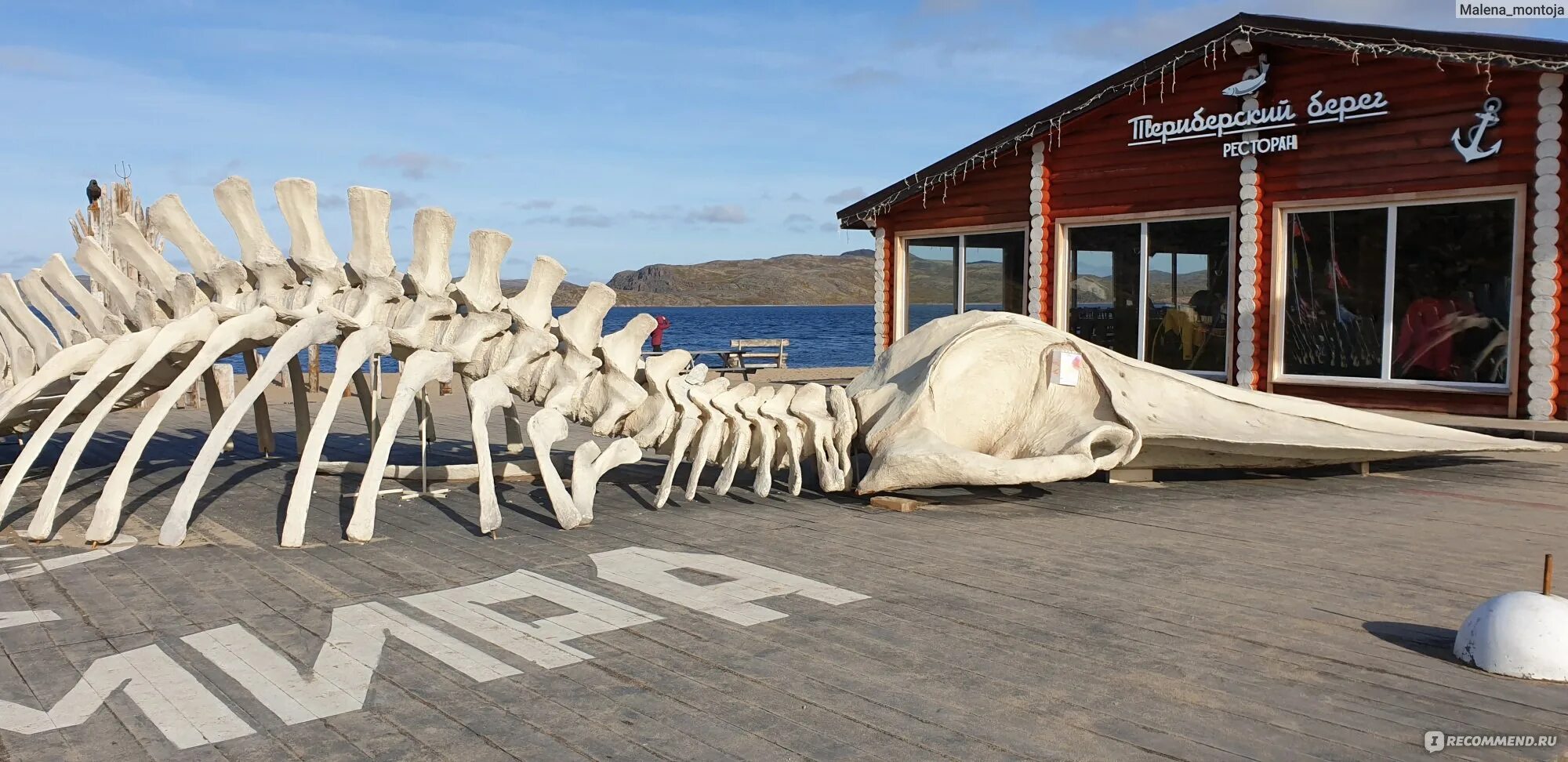 Grebeshki комсомольская ул 26 село териберка фото Териберский берег, Териберка - "Ты еще не успел сесть, а уже бесишь весь персона