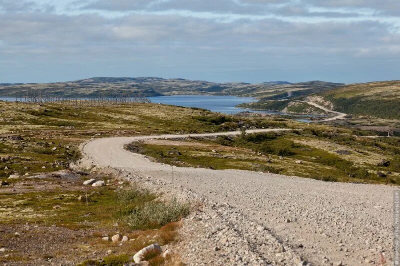 Grebeshki комсомольская ул 26 село териберка фото Немного летней тундры. Вторая Неустрашимая экспедиция - Портал Мурманской област