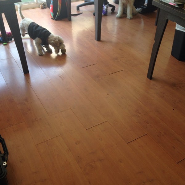 Green dog ул бутлерова 45 фото Photos at The Green Dog Project - Dog Park