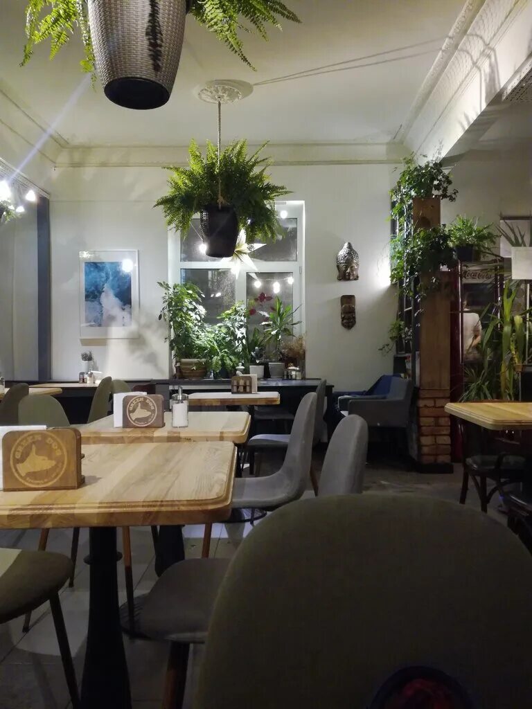 Green dog ул бутлерова 45 фото Green Dog, кафе, ул. Бутлерова, 45, Казань, Россия - Яндекс.Карты