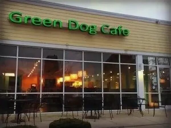 Green dog ул бутлерова 45 фото Green Dog Cafe Dog cafe, Cincinnati restaurants, Green
