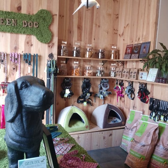 Green dog ул бутлерова 45 фото Фотографии на Green Dog - Услуги для животных