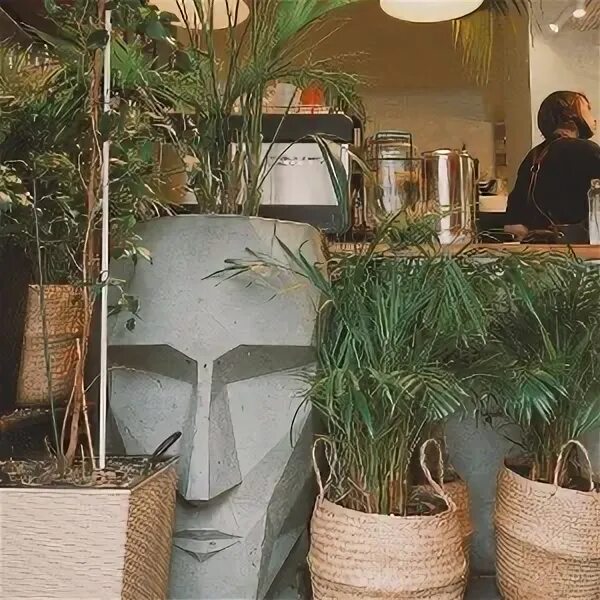 Green dog ул бутлерова 45 казань фото Green dog ул бутлерова 45