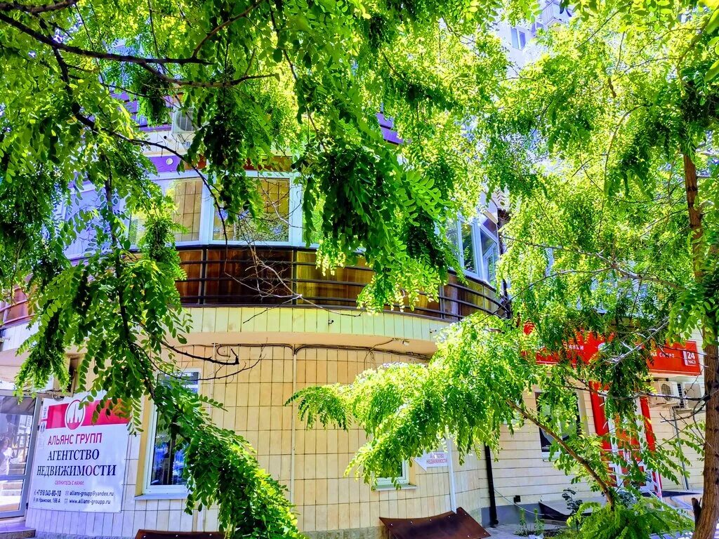 Green house крымская ул 177 анапа фото Ракушка Анапа, гостиница, Крымская ул., 186А, Анапа - Яндекс Карты