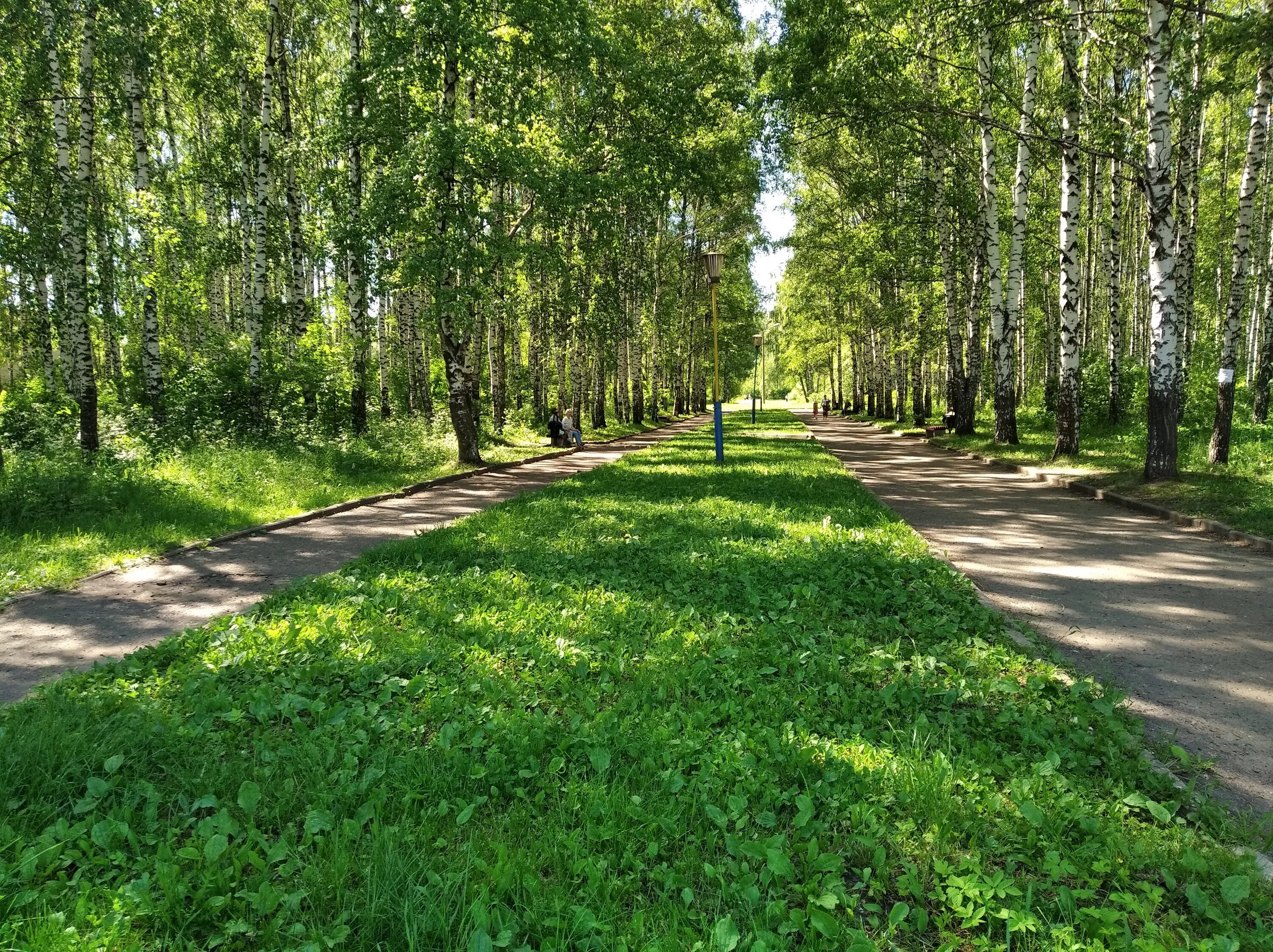 Green park ярославль ул клубная фото Фото: Парк Судостроителей, парк культуры и отдыха, Ярославль, парк Судостроителе