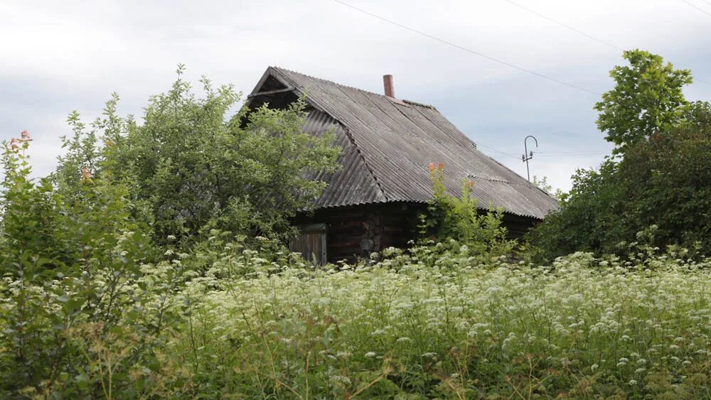 Greenday центральная ул 1б д сорокино фото Сорокино сельский населённый пункт