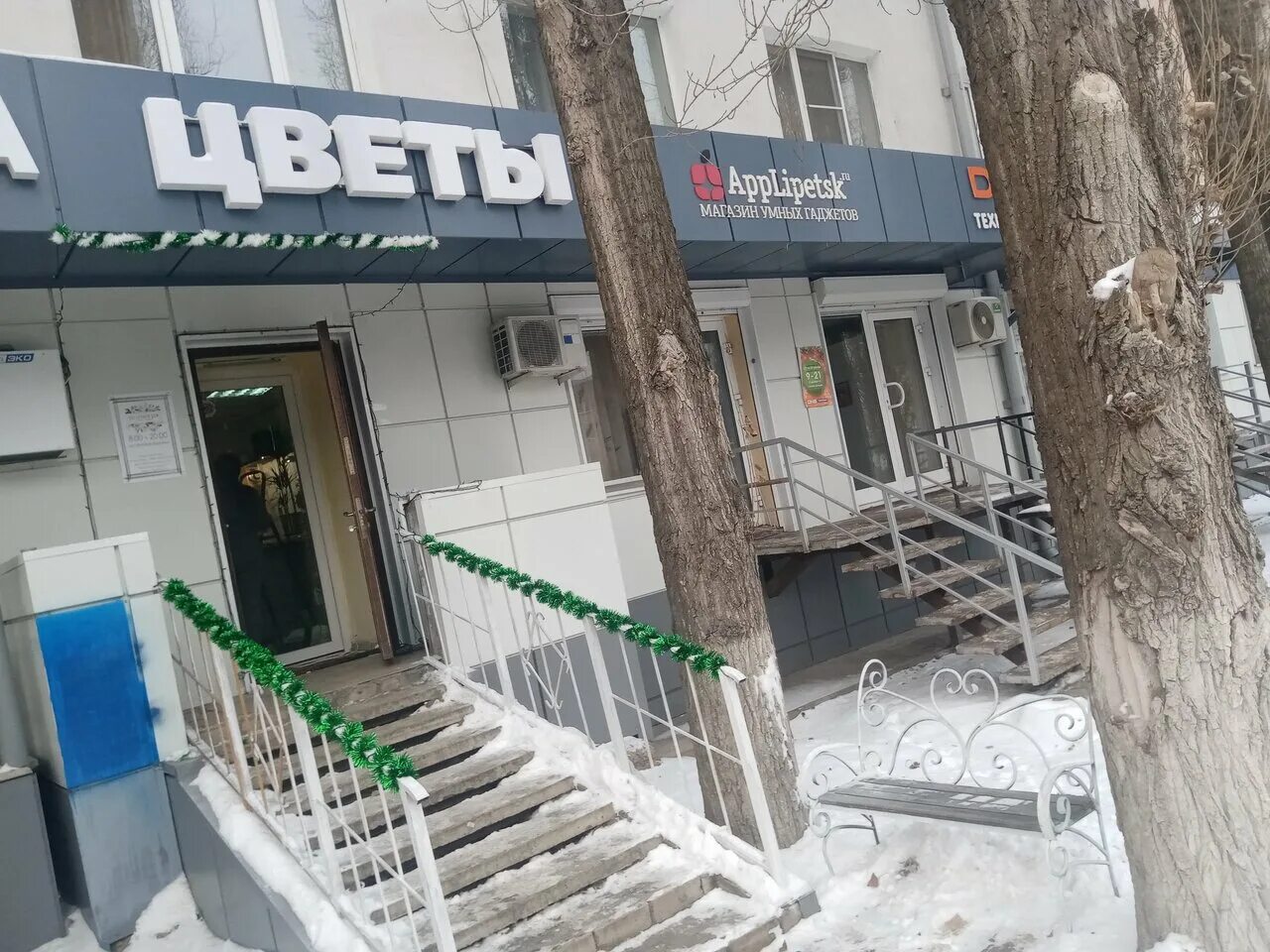 Greentek просп победы 74 фото Цветочный Дом, flower shop, Russia, Lipetsk, prospect Pobedy, 74 - Yandex.Maps