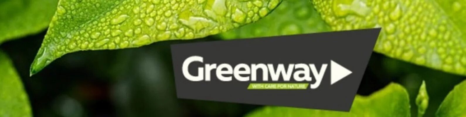 Greenway просп гагарина 52 фото Проекты гринвей экологические