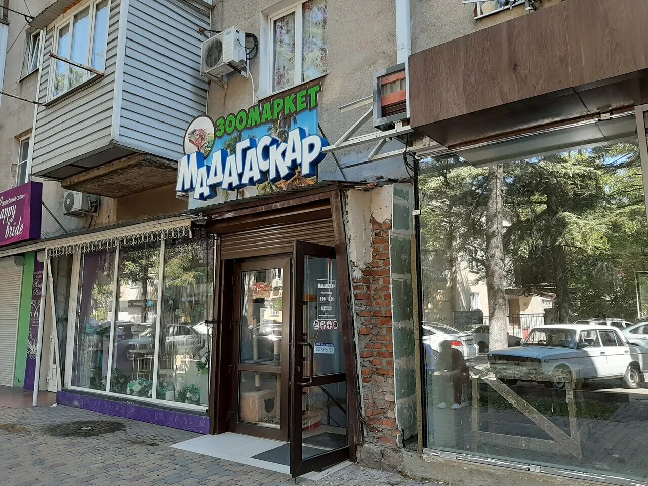 Greenway ул маршала жукова 25 туапсе фото Panorama: Madagascar, pet store, Tuapse, Marshala Zhukova Street, 20 - Yandex Ma