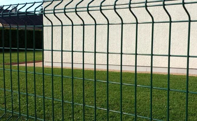 Grillage 15 предмостный микрорайон фото egér vagy patkány Növénytan Ügy grillage rigide prix ml amazon Könyvtár Szárnyak