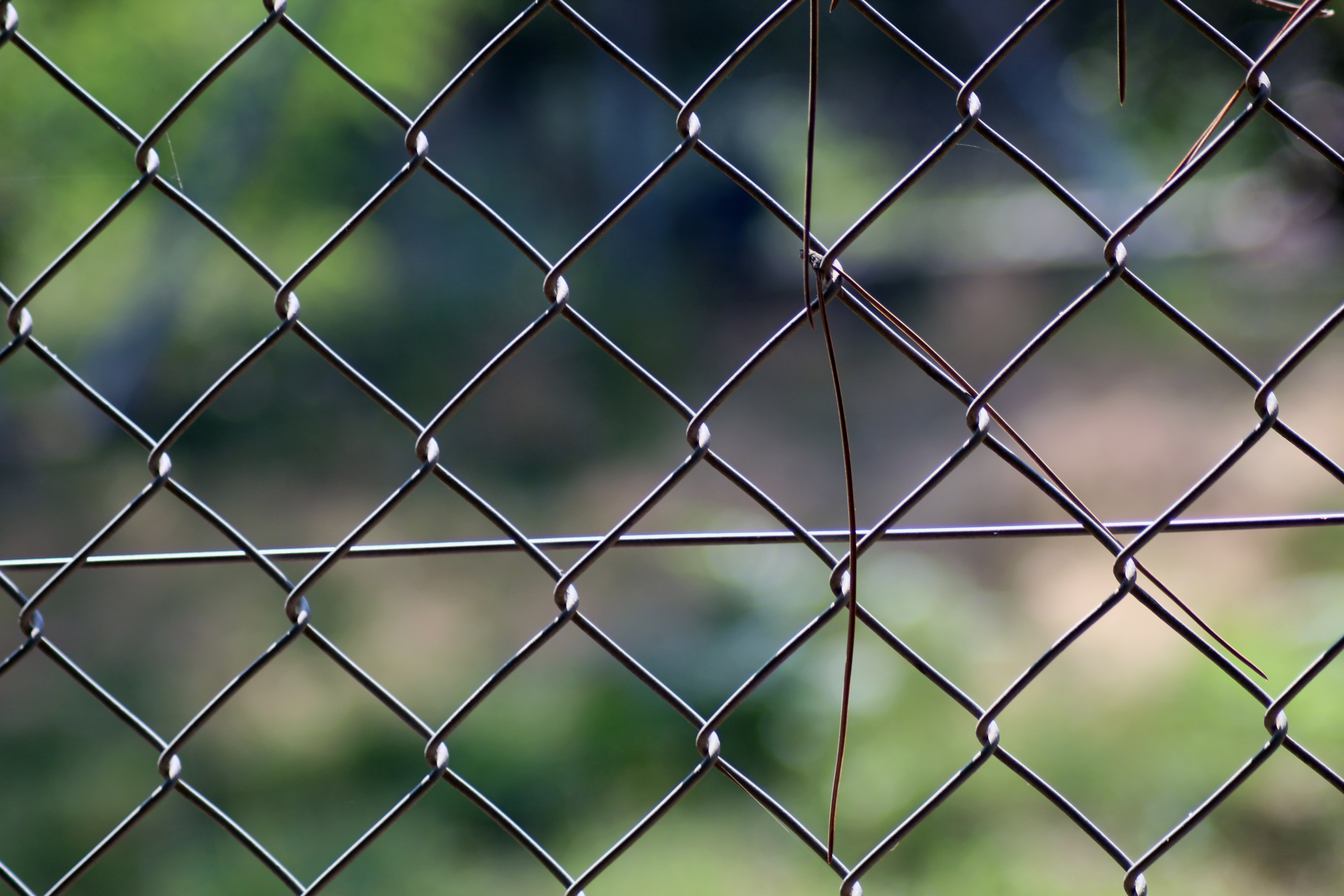 Grillage 15 предмостный микрорайон фото File:Grillage - grilling.jpg - Wikimedia Commons