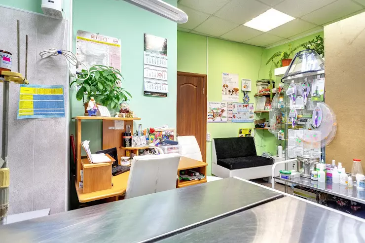 Groom ул калинина 20 фото Зоосалон на Молодёжной улице груминг, ветклиника в Химках в Химках, ул. Молодежн