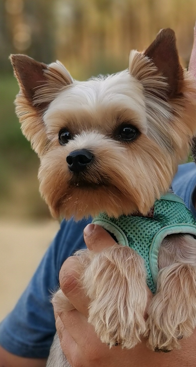 Groom ул калинина 20 фото и видео Отзывы о Perfect groom, улица Угрешская, 30, Дзержинский - 2ГИС