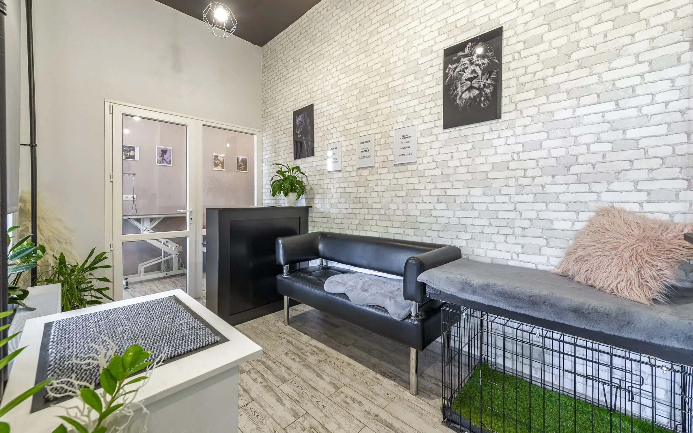 Groom ул калинина 20 фото и видео Прайс-лист Груминг-салона Львиная Доля в Долгопрудном - Ветеринарные клиники - М