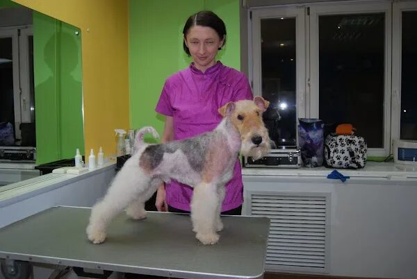 Groom ул калинина 20 фото и видео GROOM, +7 343 202-02-05, ул. Щорса, 24, Екатеринбург, Свердловская обл., Россия,