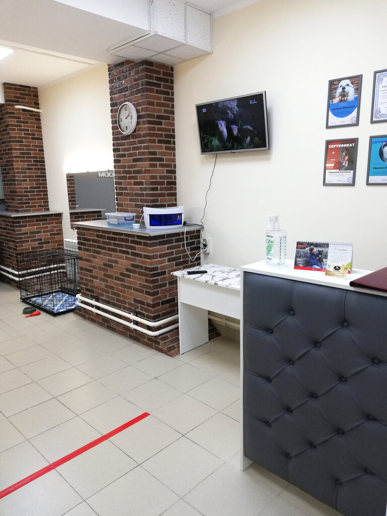 Groom ул калинина 20 фото и видео Chapa-groom, зоосалон, зоопарикмахерская, Россия, Москва, ул. Мусы Джалиля, 36, 