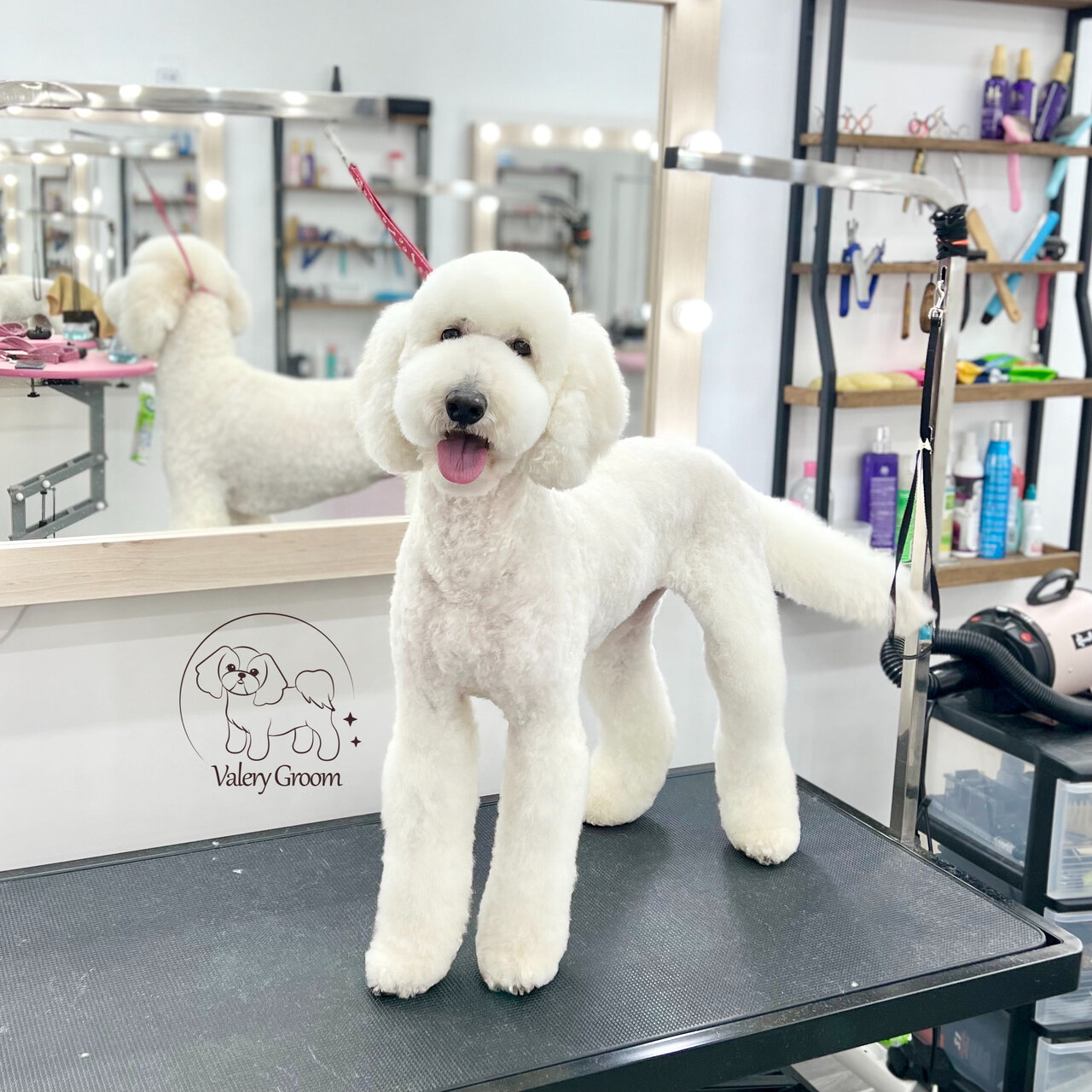 Groom ул калинина 20 фото и видео Фото: Valéry Groom, зоосалон, зоопарикмахерская, ул. Аладовых, 17, Минск - Яндек