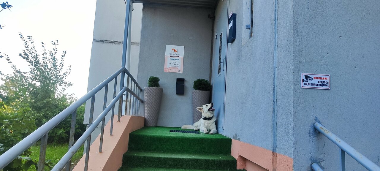 Groom ул калинина 20 фото и видео Фото: Valéry Groom, зоосалон, зоопарикмахерская, ул. Аладовых, 17, Минск - Яндек