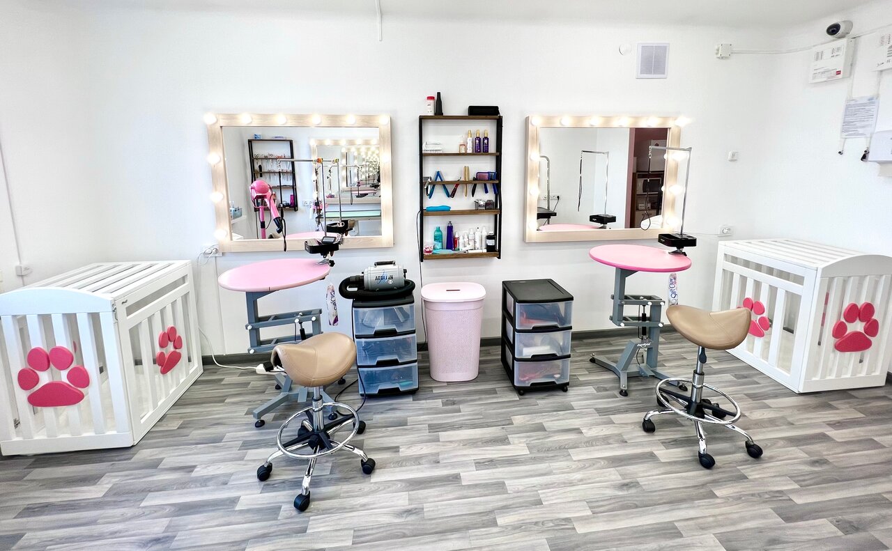 Groom ул калинина 20 фото и видео Фото: Valéry Groom, зоосалон, зоопарикмахерская, ул. Аладовых, 17, Минск - Яндек