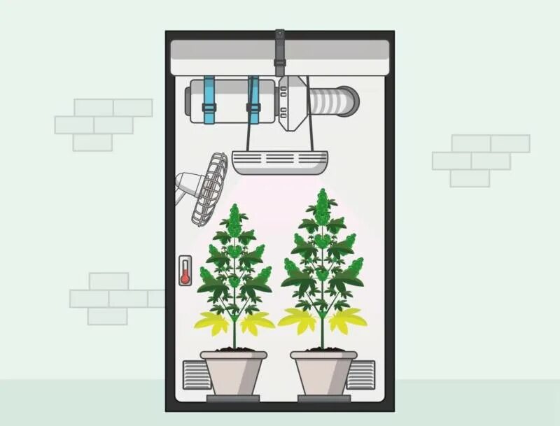 Grow 5000 подключение света Как сделать гроубокс своими руками и что для этого нужно