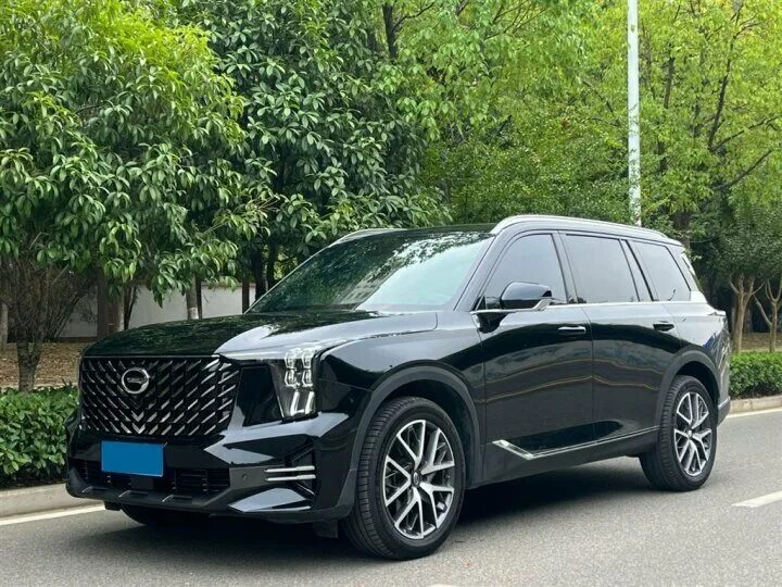 Gs 8 фото Купить б/у GAC GS8 II 2.0 AT (252 л.с.) 4WD бензин автомат в Находке: чёрный ГАК