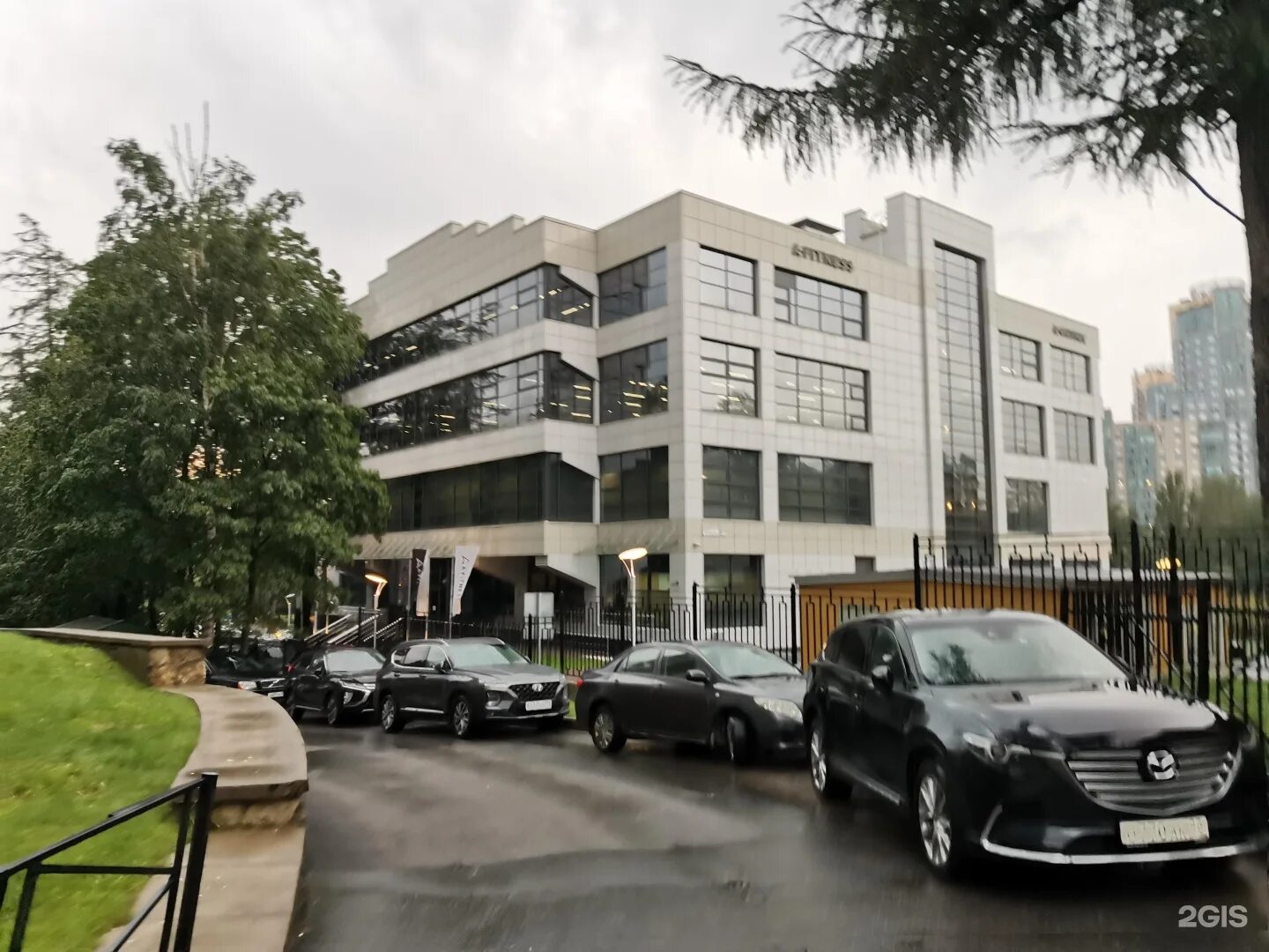 Gsmed просп тореза 44 корп 2 фото Тореза 114 2