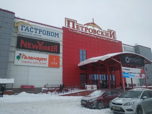 Gstore ул михаила петрова 29 фото Особенности платежного терминала Связной в Ижевске, улица Михаила Петрова, 29 - 