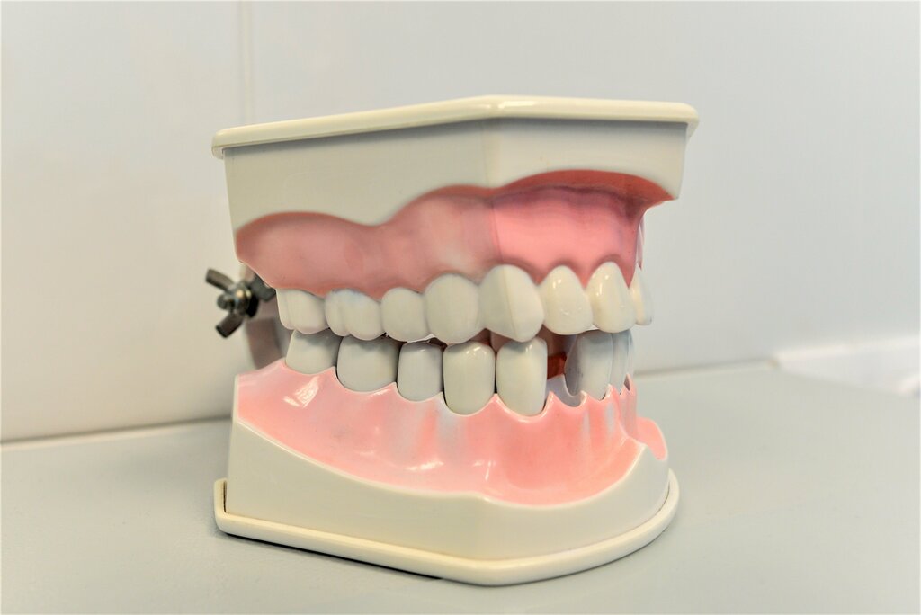 Gt clinic набережная ул 19 фото Gt clinic, стоматологическая клиника, Набережная ул., 19, Кировск - Яндекс Карты