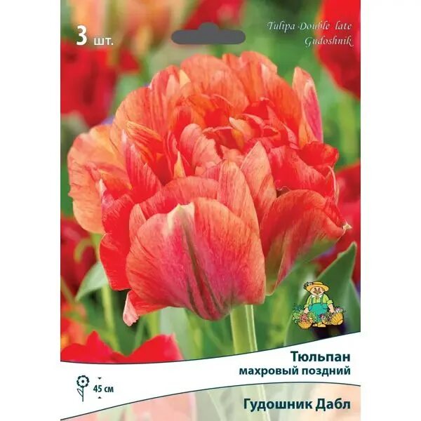 Gudoshnik double тюльпан фото и описание Altero Stroy Тюльпан махровый поздний "Гудошник Дабл" размер луковицы 10/11, 3 ш
