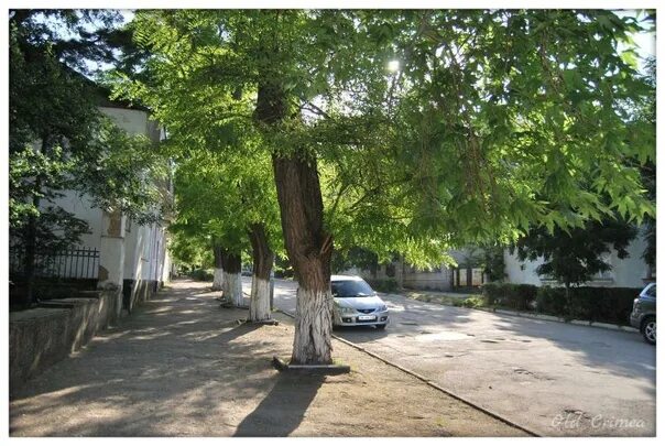 Gunesh ул свободы 44б старый крым фото #СтарыйКрым #Фото #Крым #Солхат #Дом 2021 * Old Crimea * ВКонтакте