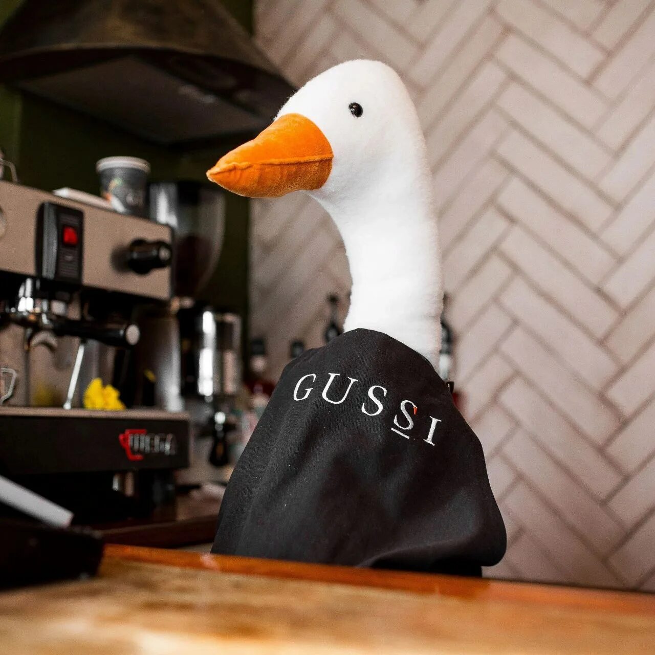 Gussi coffee волжская ул 3 саратов фото В корпусе ОмГПУ на Интернациональной появится гастробуфет Gussi