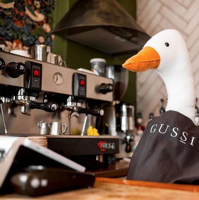 Gussi coffee волжская ул 3 саратов фото GUSSI COFFEE выставка