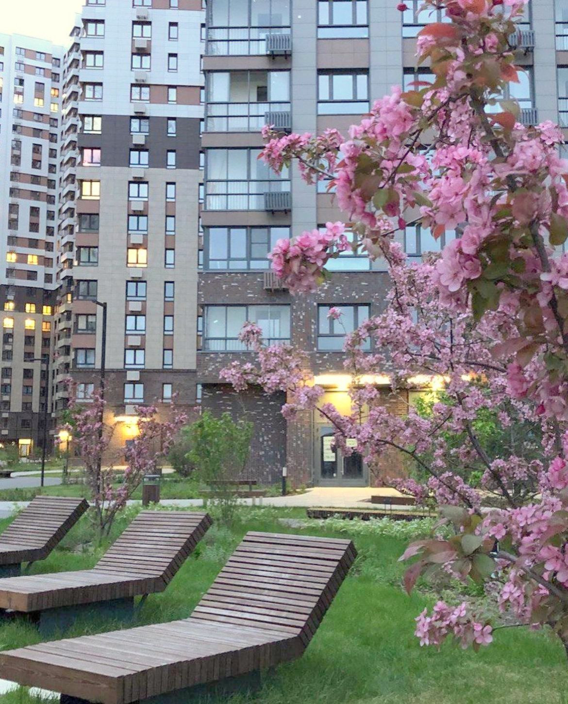 Gustosoo одинцово микрорайон клубничное поле 2 фото Купить 1-комнатную квартиру, 39.7 м² по адресу Московская область, Одинцово, мик