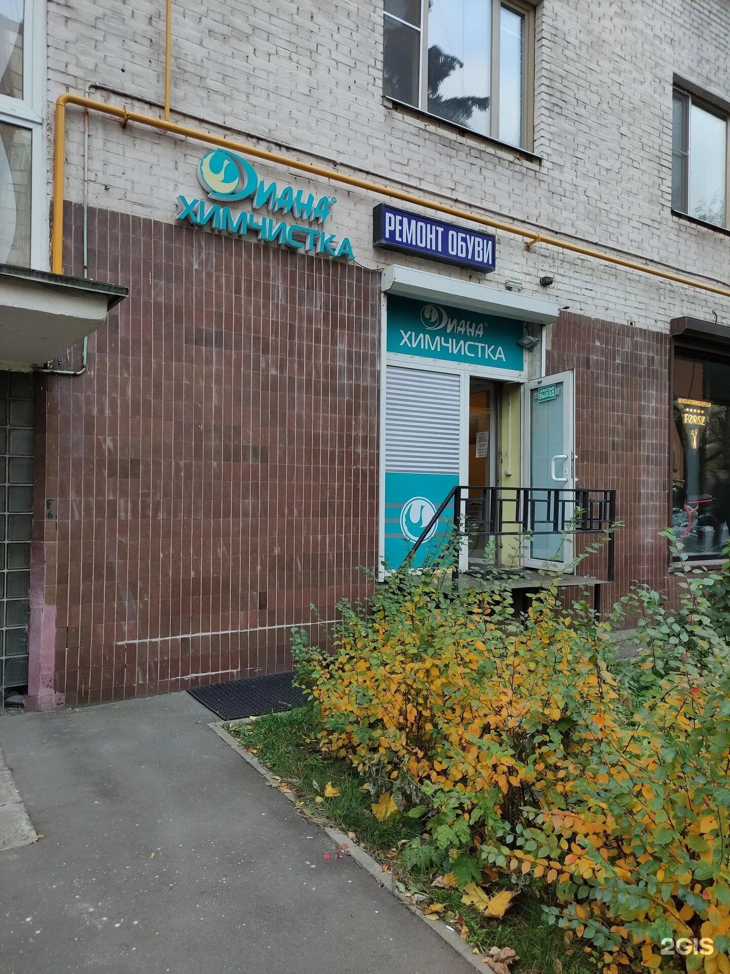 Hair club ул александра невского 19 фото Невского 19 воронеж: найдено 78 картинок