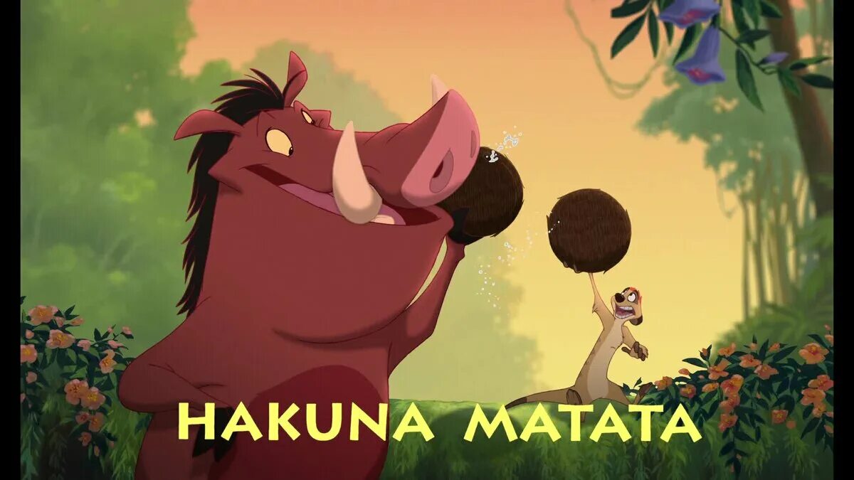 Hakuna matata скачать игра про фото торрент Что значит "Акуна матата"? ЛИТИНТЕРЕС Дзен