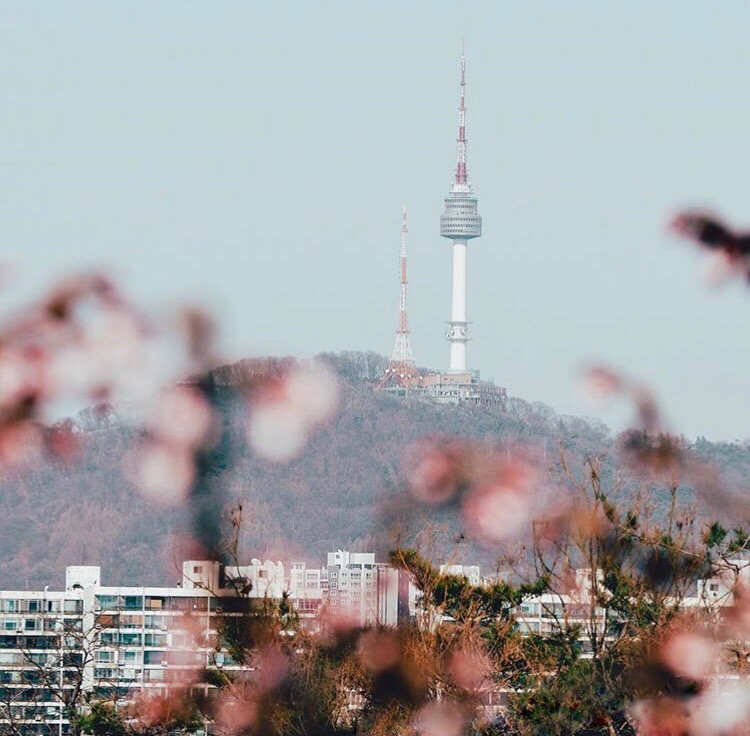 Hanguk загородное ш 36 2с5 оренбург фото Опыт обучения в университете Хангук - Послы СПбГУ