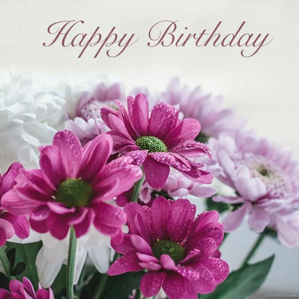 Happy birthday картинки красивые с пожеланиями Pin by Margo Dubalaru on La mulți ani Birthday flowers, Happy birthday flower, H