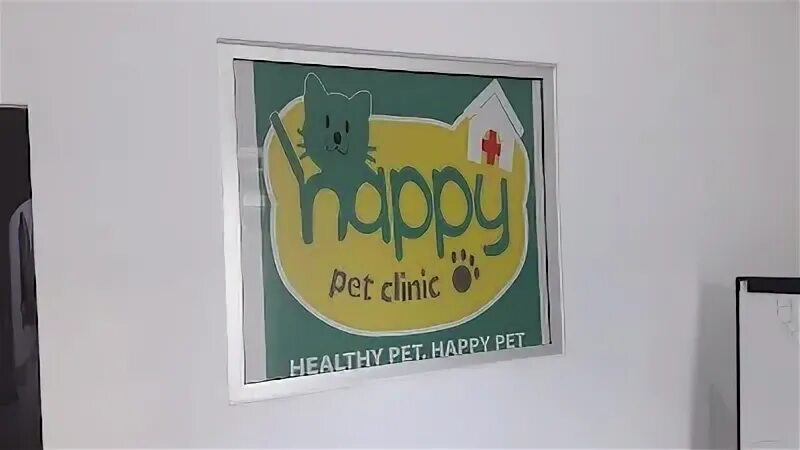 Happy pets просп королева 65 фото Happy pet clinic , Jambi , Indonesia
