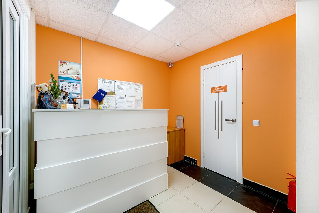 Happy pets просп королева 65 фото Панорама: Happy Pets, ветеринарная клиника, просп. Королёва, 65, Санкт-Петербург