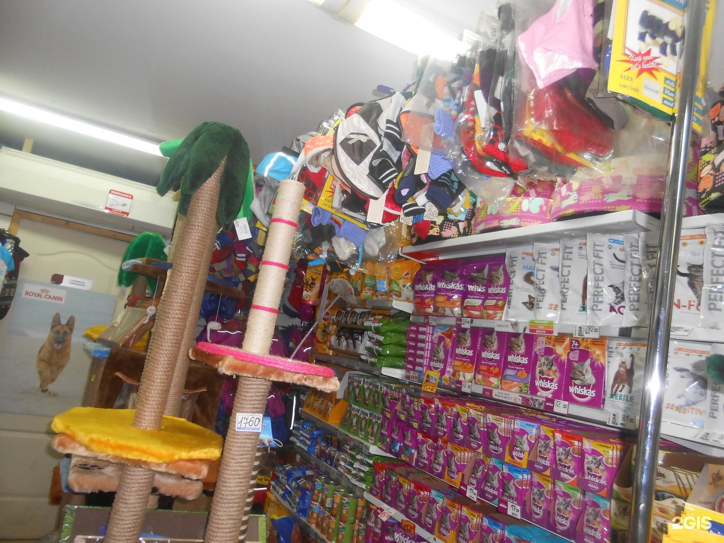 Happy pets просп королева 65 фото Счастливый питомец, магазин зоотоваров, улица Карпинского, 36, Пермь - 2ГИС