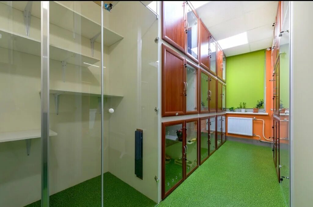 Happy pets просп королева 65 фото Больше не работает: Happy pets Beauty, зоосалон, зоопарикмахерская, Санкт-Петерб