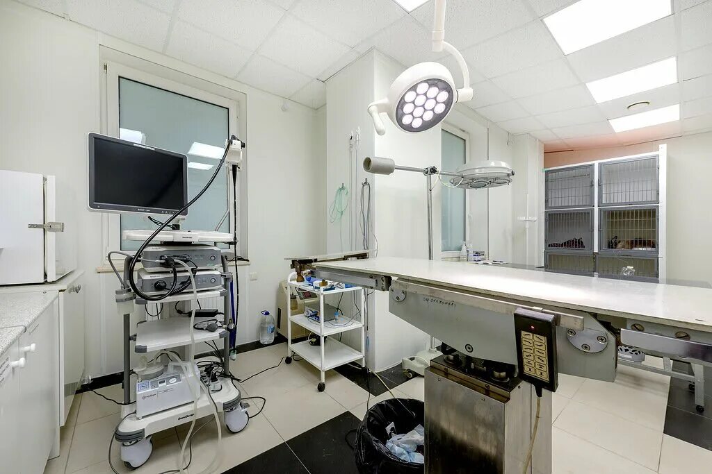 Happy pets просп королева 65 фото Happy pets, ветеринарная клиника, Россия, Санкт-Петербург, просп. Королёва, 65 -