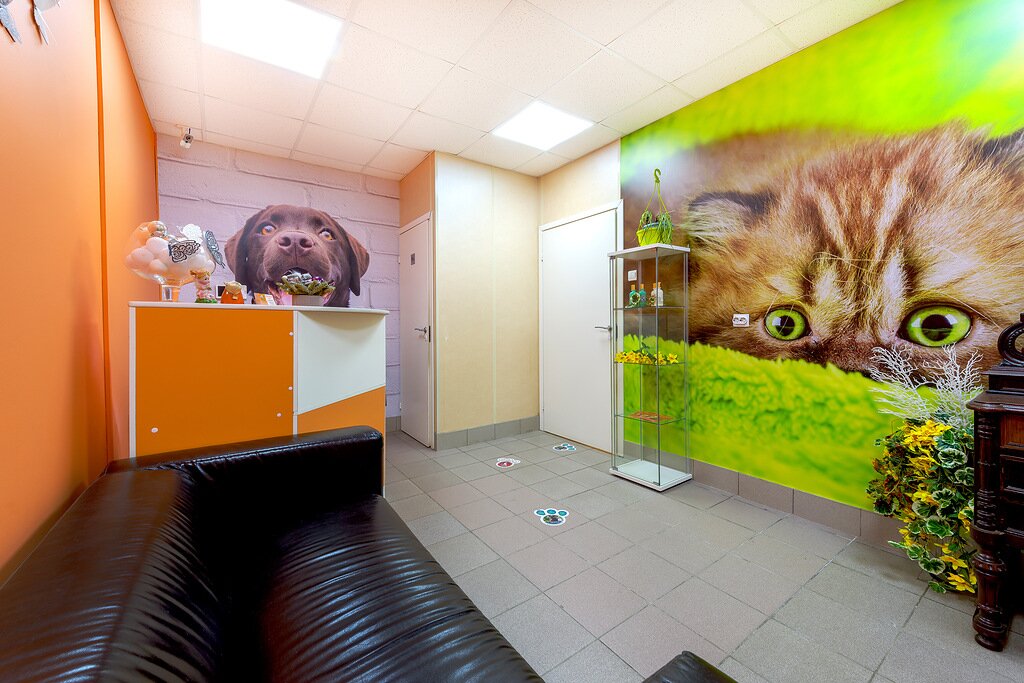 Happy pets просп королева 65 фото Панорама: Happy pets, ветеринарная клиника, просп. Королёва, 65, Санкт-Петербург