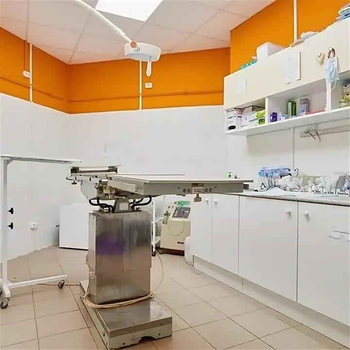 Happy pets просп королева 65 фото ᐈ Уколы животным - Королева проспект - 10 адресов в рейтинге с ценами и отзывами