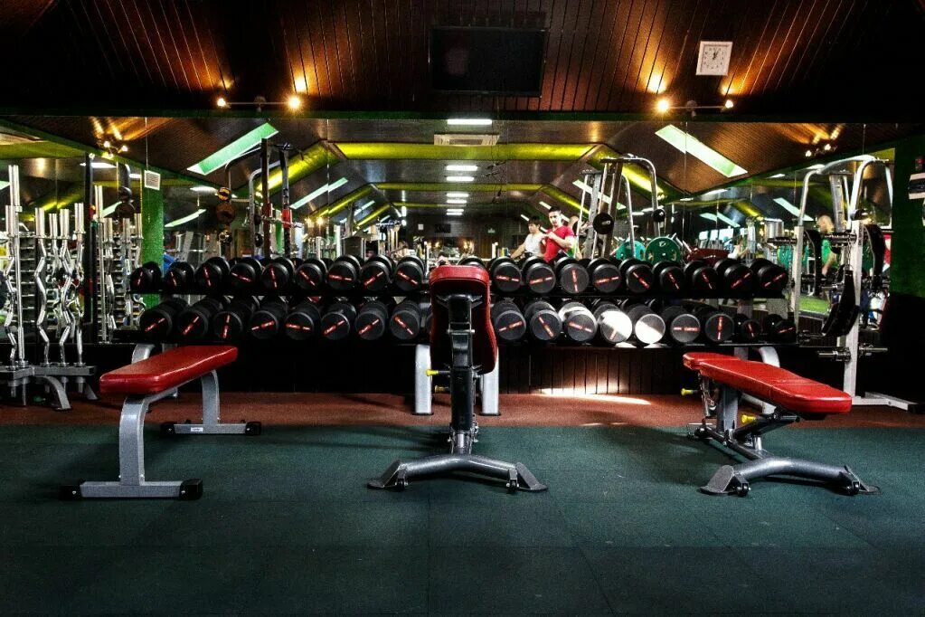 Hard fit ул красных партизан 226 фото Фитнес клуб "Кинг Фит" г. Краснодар - тренажеры Aerofit Professional в РФ aerofi